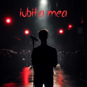 Iubita Mea by Cristian Porcari — artwork