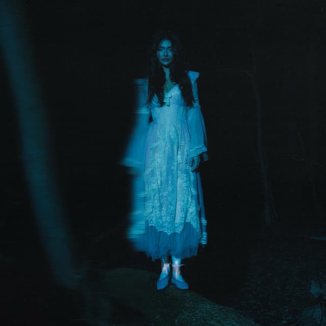 Kingdom by Andreea Bostanica — artwork